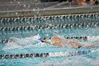 Swimming & Diving vs Babson  Swimming & Diving vs Babson College. - Photo by Keith Nordstrom : Wheaton, Swimming